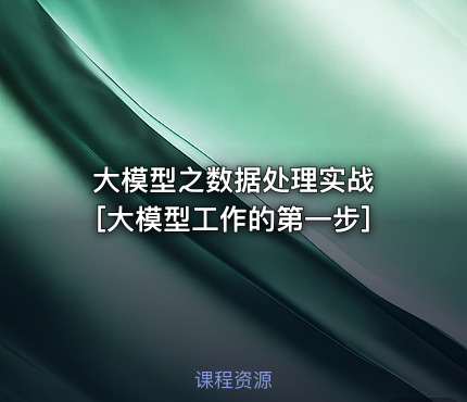 大模型之数据处理实战 [大模型工作的第一步]
