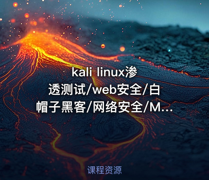 kali linux渗透测试/web安全/白帽子黑客/网络安全/Metasploit基本使用