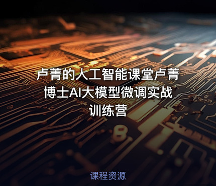 卢菁的人工智能课堂卢菁博士AI大模型微调实战训练营