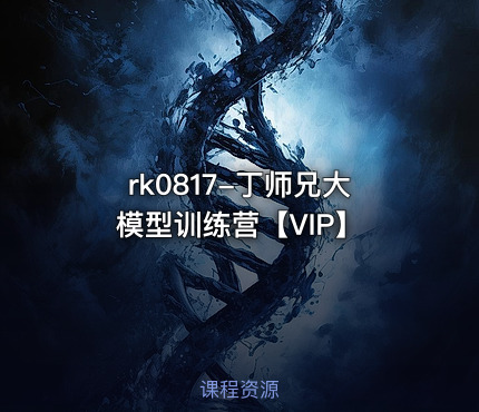 丁师兄大模型训练营【VIP】