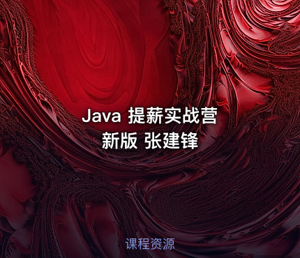Java 提薪实战营 新版 张建锋