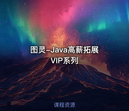 图灵-Java高薪拓展VIP系列