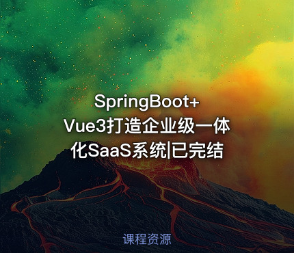 SpringBoot+Vue3打造企业级一体化SaaS系统|已完结