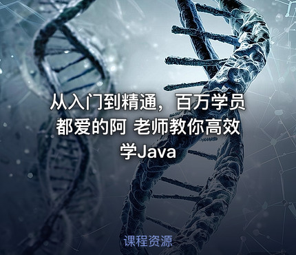 从入门到精通，百万学员都爱的阿 老师教你高效学Java
