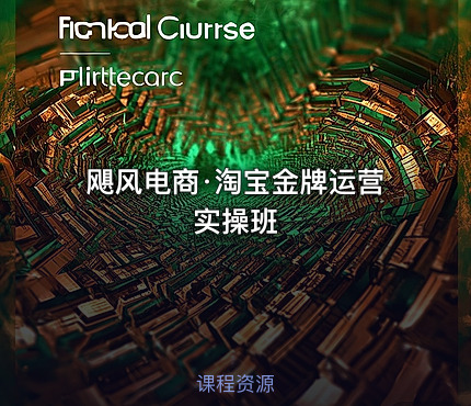 飓风电商·淘宝金牌运营实操班
