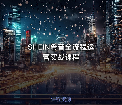 SHEIN希音全流程运营实战课程