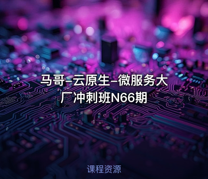 马哥-云原生-微服务大厂冲刺班N66期