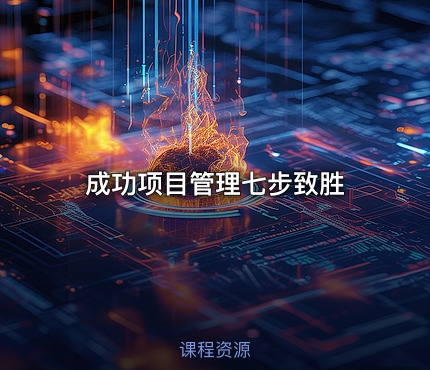 成功项目管理七步致胜
