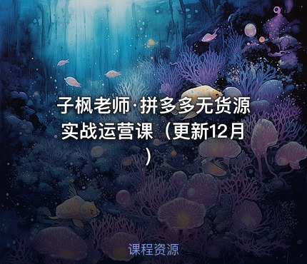 子枫老师·拼多多无货源实战运营课（更新12月）
