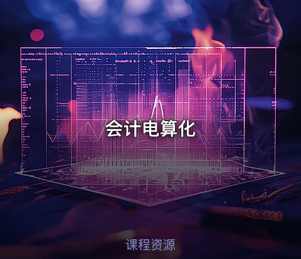 会计电算化