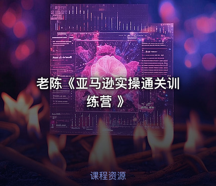 老陈《亚马逊实操通关训练营 》