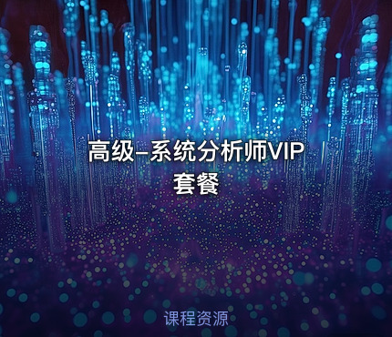 高级-系统分析师VIP套餐
