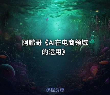 阿鹏哥《AI在电商领域的运用》
