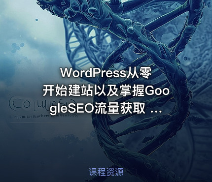 WordPress从零开始建站以及掌握GoogleSEO流量获取 【73节课】