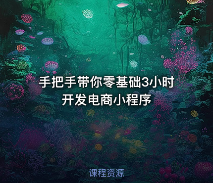 手把手带你零基础3小时开发电商小程序