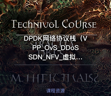 DPDK网络协议栈（VPP_OvS_DDoS SDN_NFV_虚拟化_高性能专家教程）