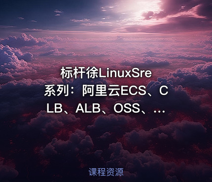 标杆徐LinuxSre系列：阿里云ECS、CLB、ALB、OSS、WAF、CDN实践（12讲）