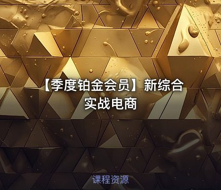 【季度铂金会员】新综合实战电商