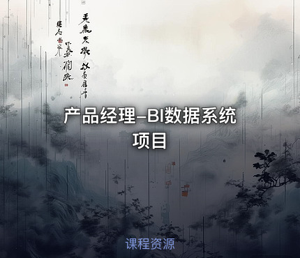产品经理-BI数据系统项目