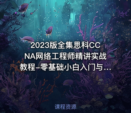 2023版全集思科CCNA网络工程师精讲实战教程-零基础小白入门与精通