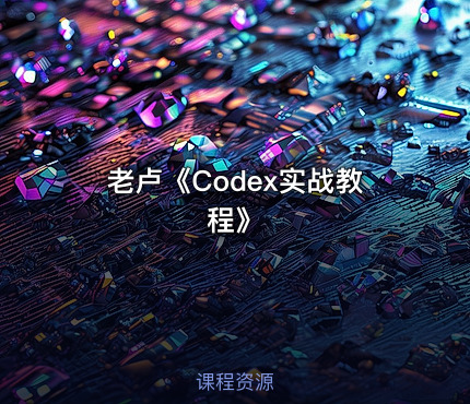 老卢《Codex实战教程》