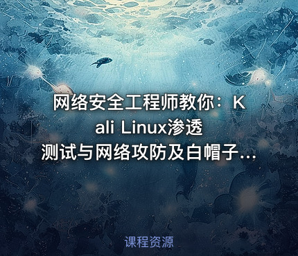 网络安全工程师教你：Kali Linux渗透测试与网络攻防及白帽子黑客编程全程课