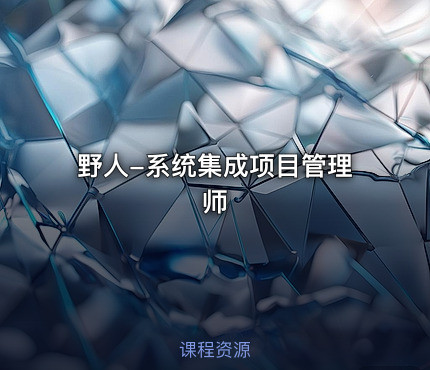 野人-系统集成项目管理师