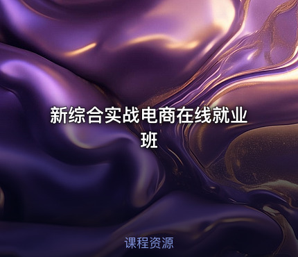 新综合实战电商在线就业班