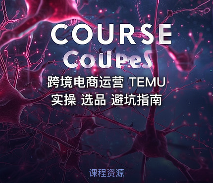 跨境电商运营 TEMU实操 选品 避坑指南