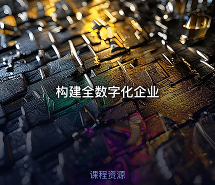 构建全数字化企业