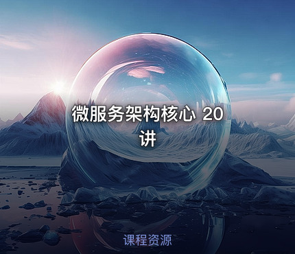 微服务架构核心 20 讲