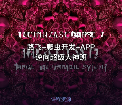 路飞-爬虫开发+APP逆向超级大神班