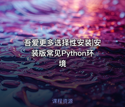 吾爱更多选择性安装|安装版常见Python环境