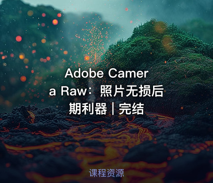 Adobe Camera Raw：照片无损后期利器 | 完结