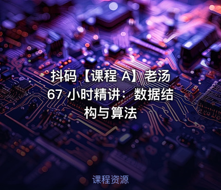 抖码【课程 A】老汤 67 小时精讲：数据结构与算法