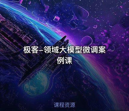 极客-领域大模型微调案例课