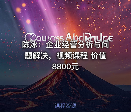 陈冰：企业经营分析与问题解决，视频课程 价值8800元