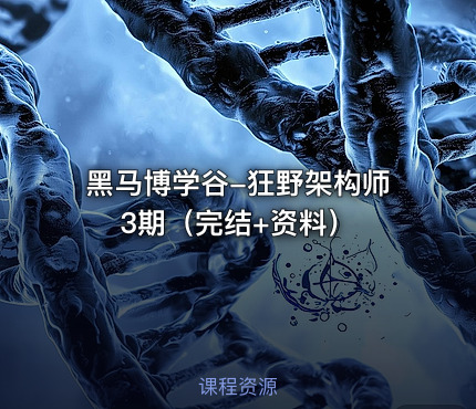 黑马博学谷-狂野架构师3期（完结+资料）