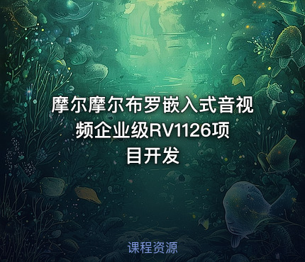 摩尔摩尔布罗嵌入式音视频企业级RV1126项目开发