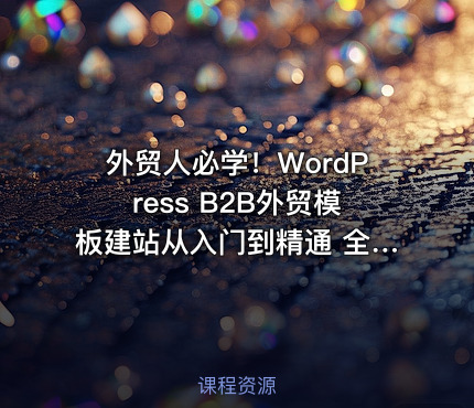 外贸人必学！WordPress B2B外贸模板建站从入门到精通 全流程实操落地课