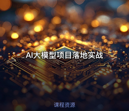 AI大模型项目落地实战