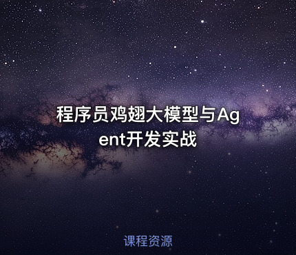 程序员鸡翅大模型与Agent开发实战