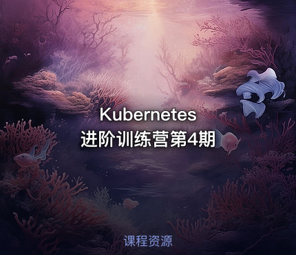 Kubernetes 进阶训练营第4期