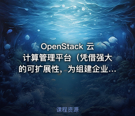 OpenStack 云计算管理平台（凭借强大的可扩展性，为组建企业级私有云或公有云提供助力）