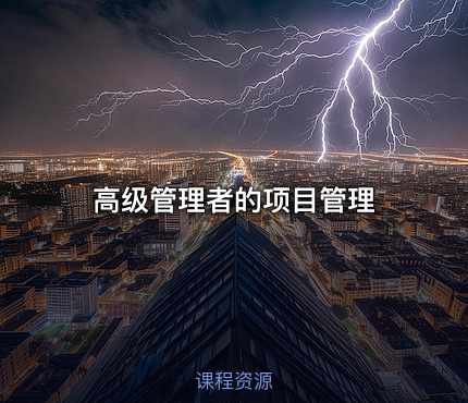 高级管理者的项目管理