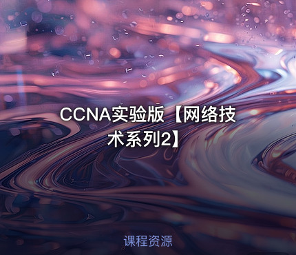 CCNA实验版【网络技术系列2】