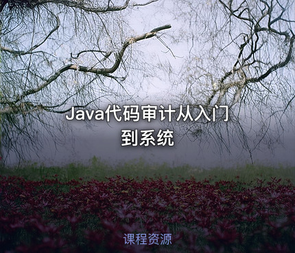 Java代码审计从入门到系统
