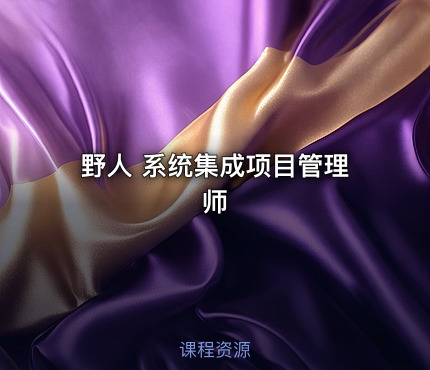 野人 系统集成项目管理师
