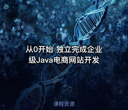 从0开始 独立完成企业级Java电商网站开发