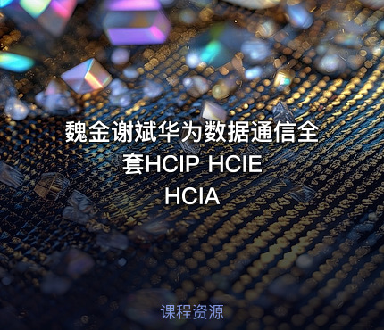 魏金谢斌华为数据通信全套HCIP HCIE HCIA